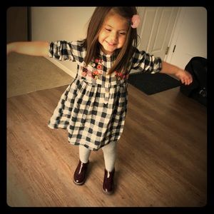 Zara size 2-3 toddler girls dress